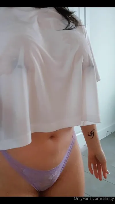 Alinity leak — aperçu 9
