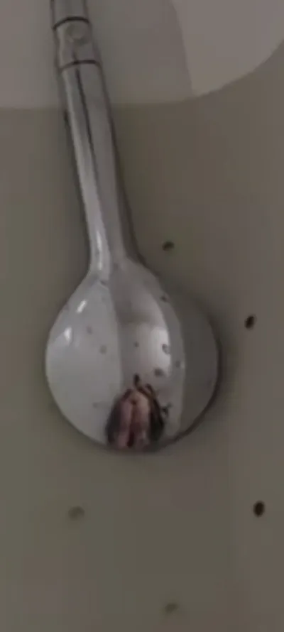 Anais22360 leak — aperçu 7