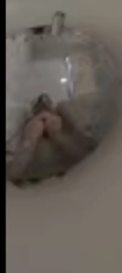 Anais22360 leak — aperçu 9