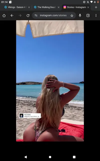 Blondie 02 leak — aperçu 10