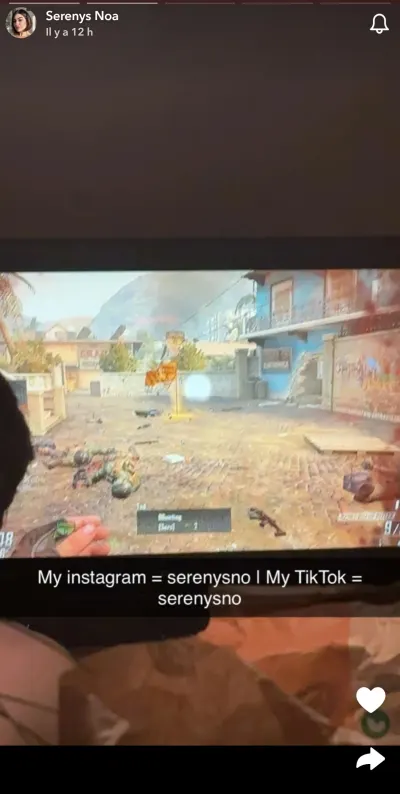 Blumevlt leak — aperçu 8
