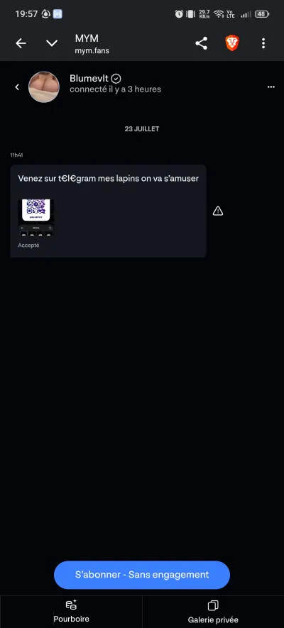 Blumevlt leak — aperçu 14