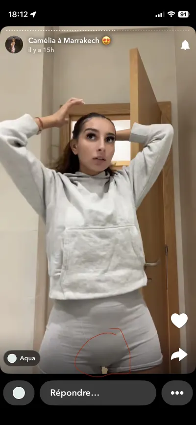Camélia camélia 92 leak — aperçu 4