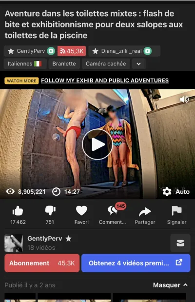 gentlyperv leak — aperçu 3