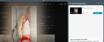 hortensiavii leak — aperçu 9