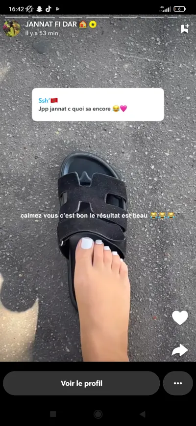 Jannat jnt fnr leak — aperçu 15