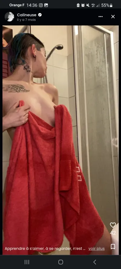 La calineuse leak — aperçu 3