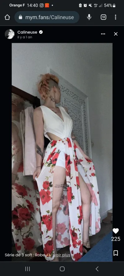 La calineuse leak — aperçu 8