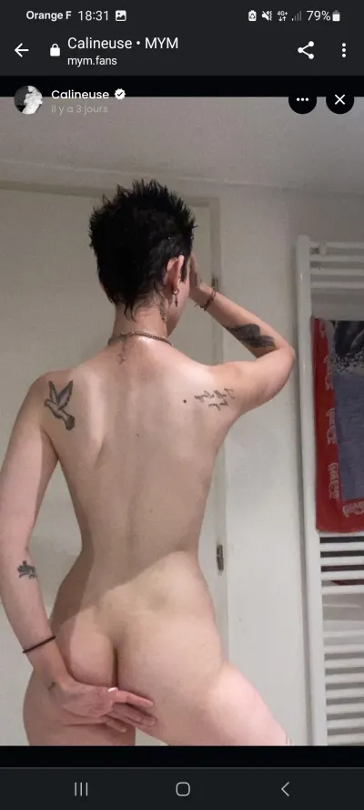 La calineuse leak — aperçu 9