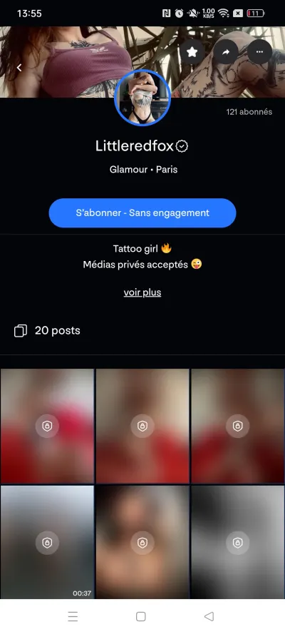 Littleredfox leak — aperçu 7