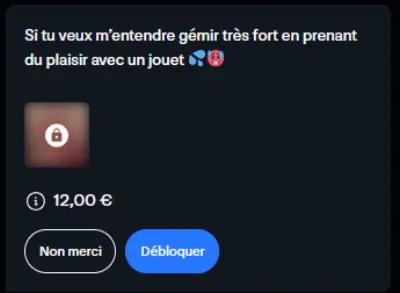Littleredfox leak — aperçu 14