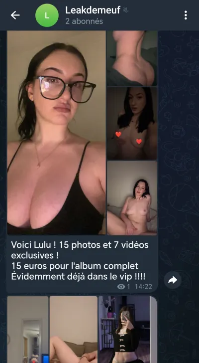 ludivine dstr leak — aperçu 7