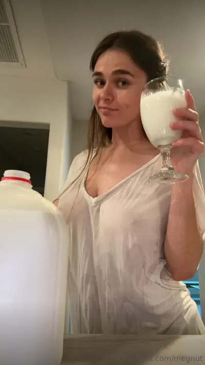 Megnutt leak — aperçu 9