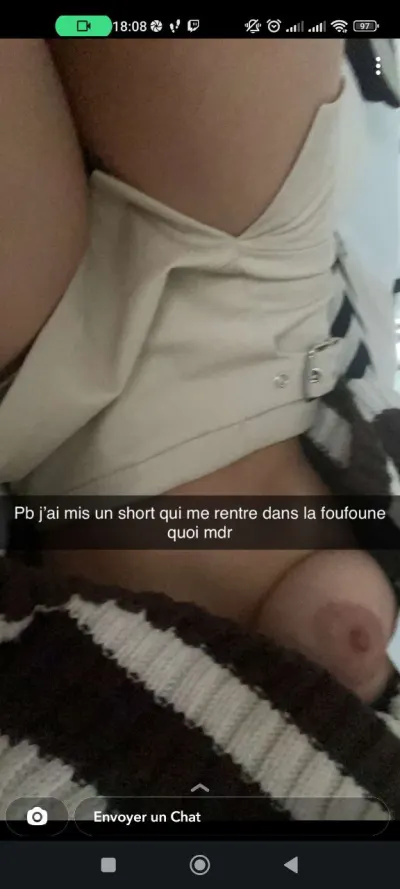 Mina Sauvage leak — aperçu 8