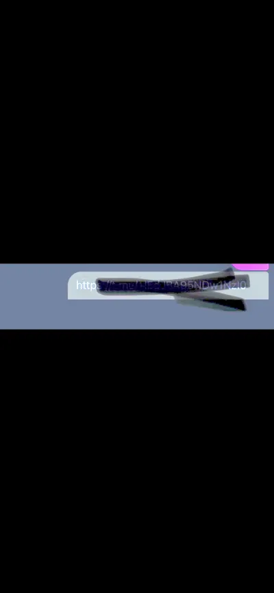 Nasya leak — aperçu 13