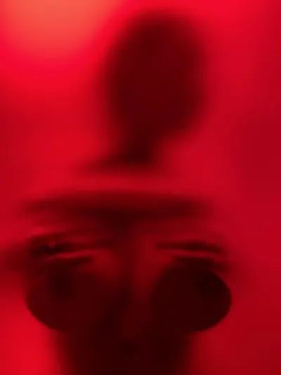 Polska leak — aperçu 5