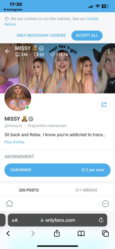 Poster vos vidéos de trans ici leak — aperçu 3