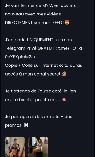Secreteva leak — aperçu 12